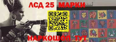 СК Кандалакша